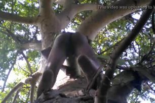 Tarzan Boy Sex In Jungle Wood